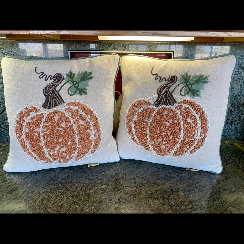 Accent Fall/Pumpkin Pillows - Never a bad time to think Fall Decor!